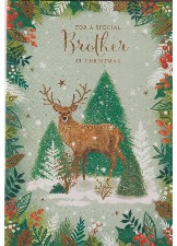 For A Special Brother At Christmas